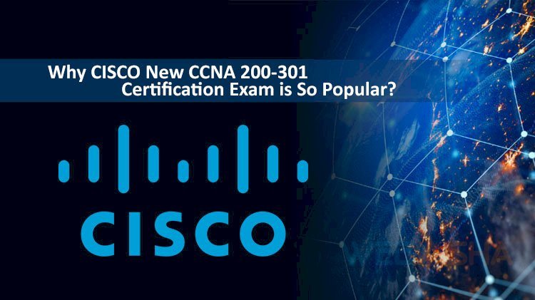 CCNA 200-301 (New CCNA) - Sns-Brigh10