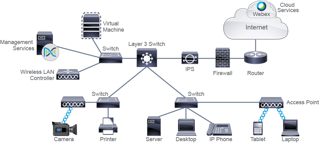 C поиск в сети. Тип сети can. Network components. Workgroup Switch. Intermediary devices.