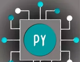 Python and Pandas for Data Engineering Online course by duke university
