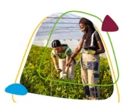 Foundational Sustainability Skills & Competencies course by Arizona state university