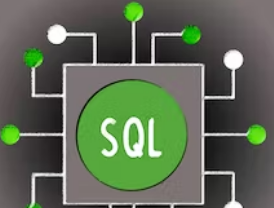 Scripting with Python and SQL for Data Engineering Online course by duke university
