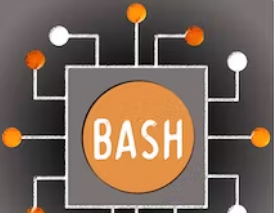 Linux and Bash for Data Engineering Online course by duke university