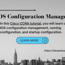 Cisco IOS Configuration Management