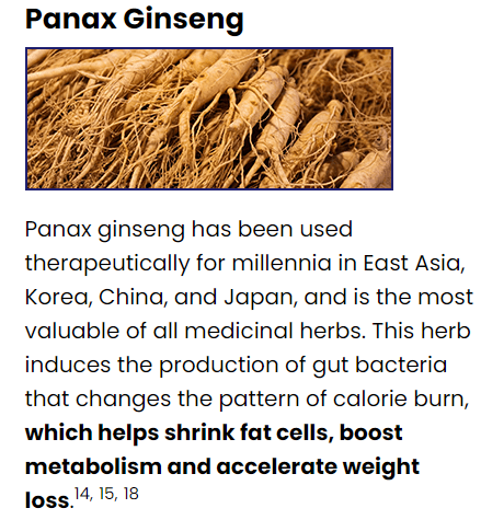 Panax ginseng-  Ikaria Lean Belly Juice- Product Review
