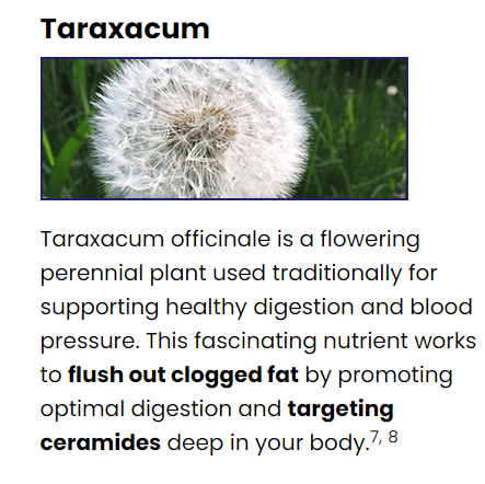 Taraxacum- Ikaria Lean Belly Juice- Product Review

