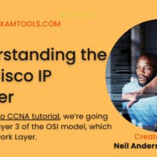 The Cisco IP Header