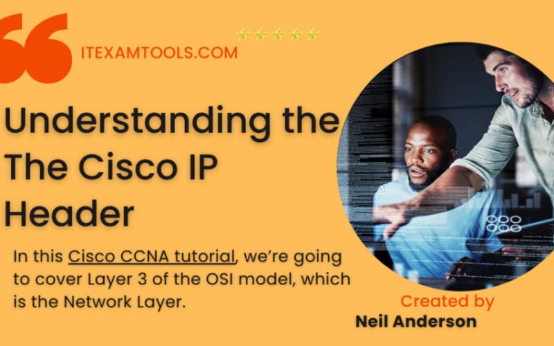 The Cisco IP Header